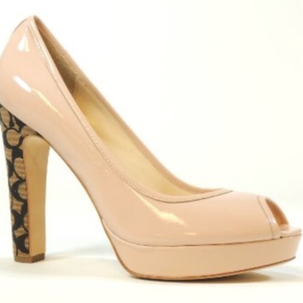 Real Coach frost pick heels